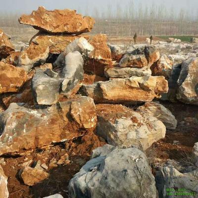 鹽城市東臺市景觀石,淮安市洪澤縣景觀石,景觀石 園林石 假山石各類石料